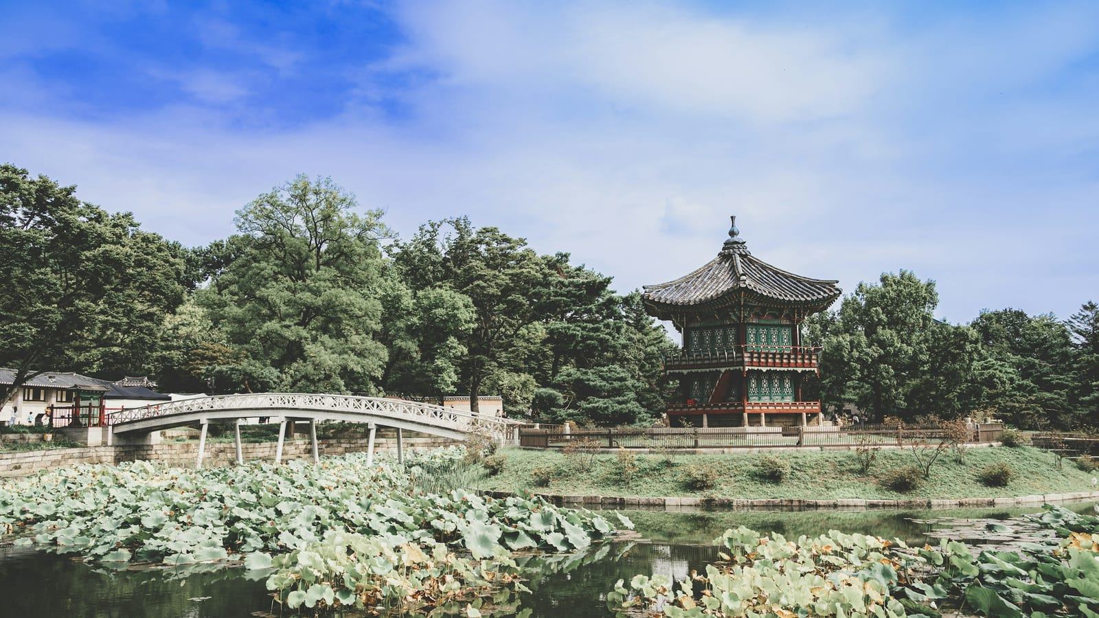 서울국제정원박람회가 열리는 서울숲에 다양한 꽃과 조경 작품이 가득하고 방문객들이 산책하며 정원을 감상하는 모습
